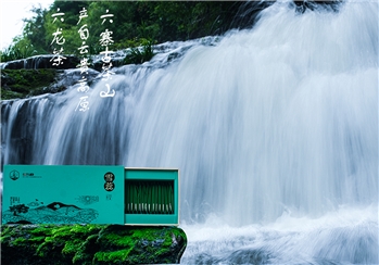 六龙茶 雪蕊绿茶 150g/盒