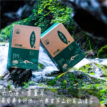 六龙茶 雾里翠绿茶 150g