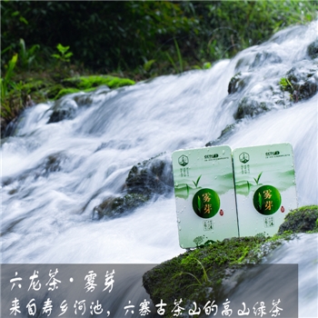 六龙茶 雾芽绿茶 150g